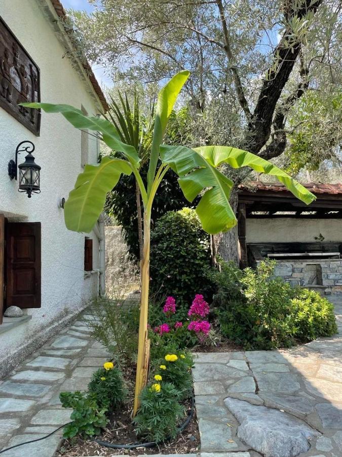 Villa Olive Áno Lekhónia Exterior foto