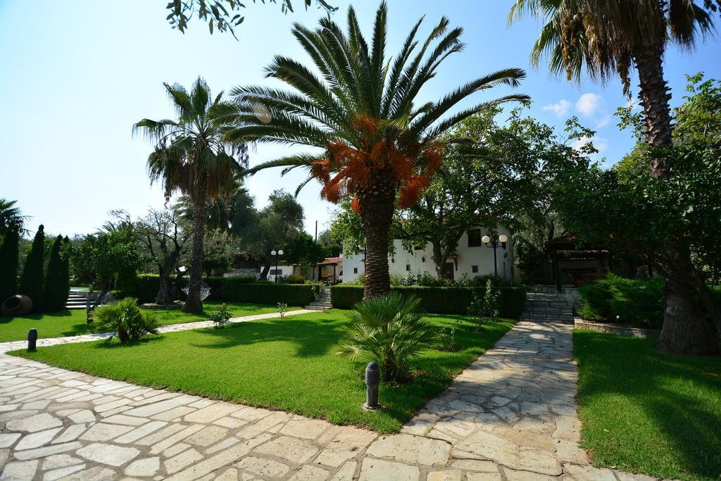 Villa Olive Áno Lekhónia Habitación foto